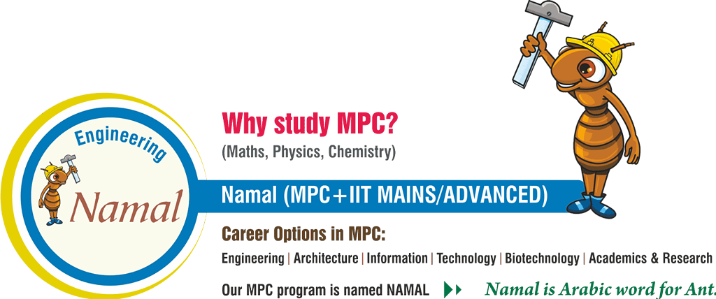 msjc-namal