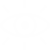 visionicon